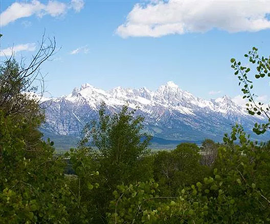 Featured Properties