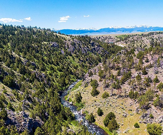 Featured Properties