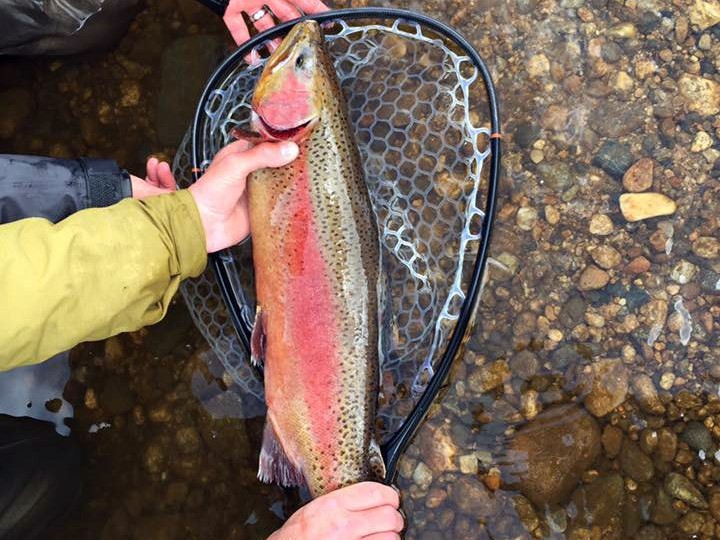 trout fishing ranches for sale