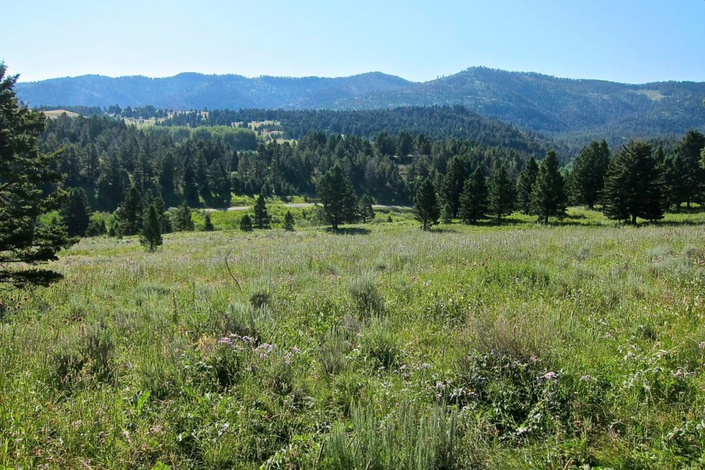 Montana Ranch Buyer’s Guide 5