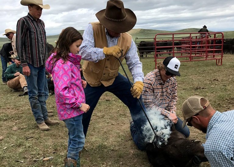 wyoming cattle ranches for sale