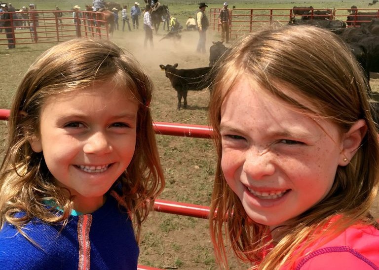 wyoming cattle ranches for sale