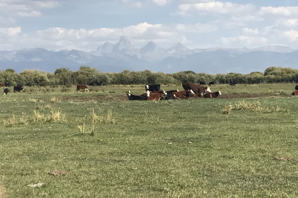 Idaho Farms for Sale 3
