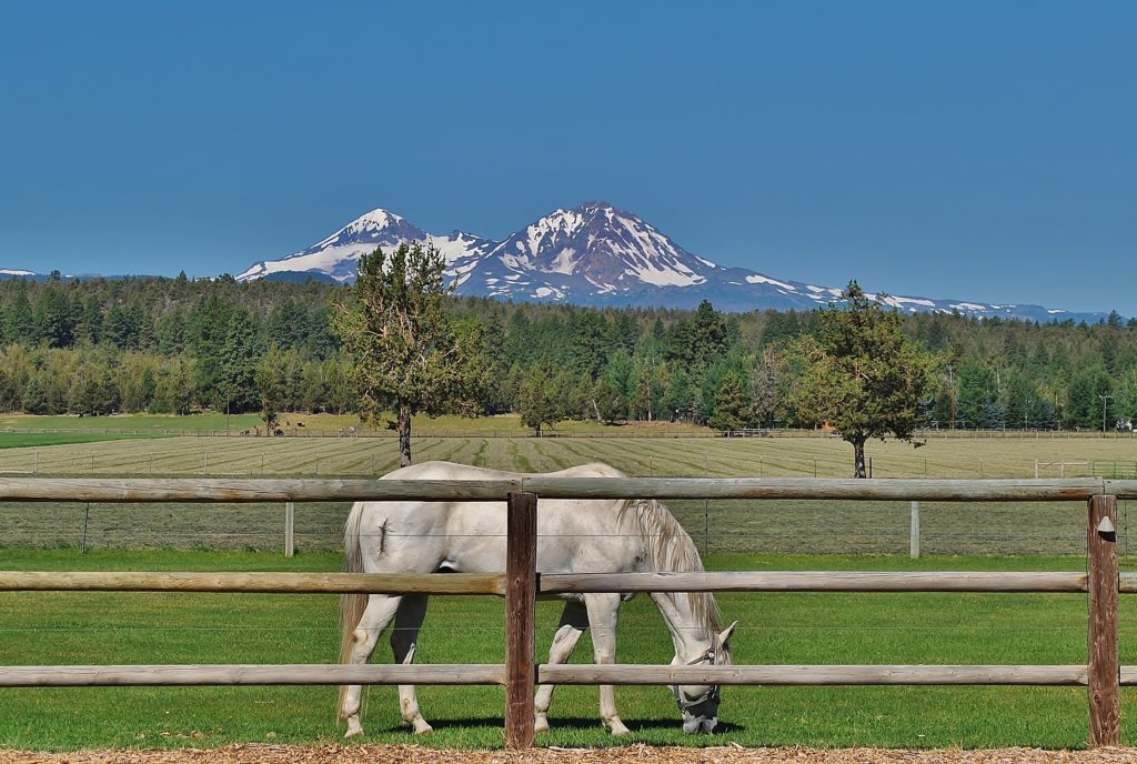 McGinnis Ranch Oregon Ranches for sale horses