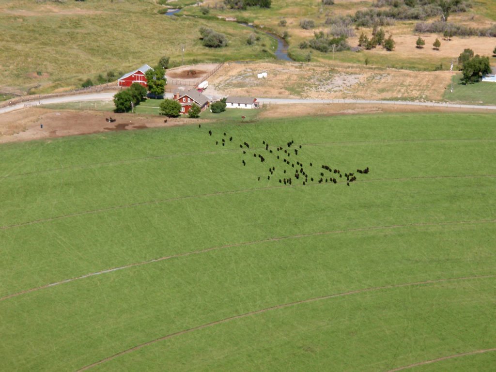 Montana cattle ranches for sale