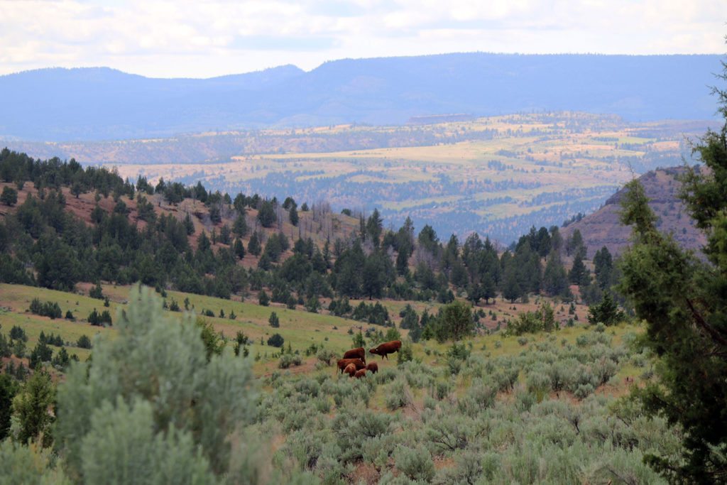 Oregon Ranches for Sale