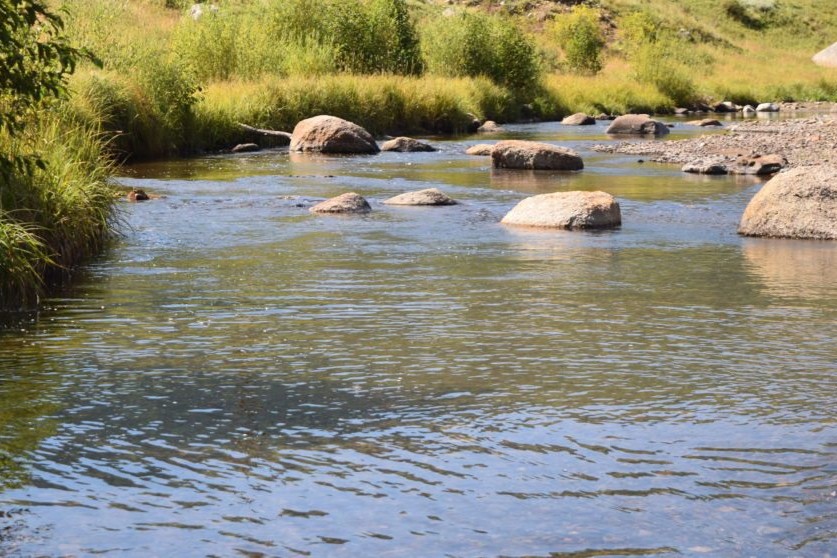 Live Water