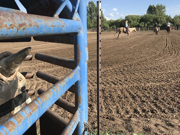 Buying and Building Arenas 7