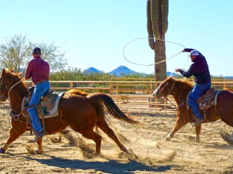 Buying and Building Arenas 8