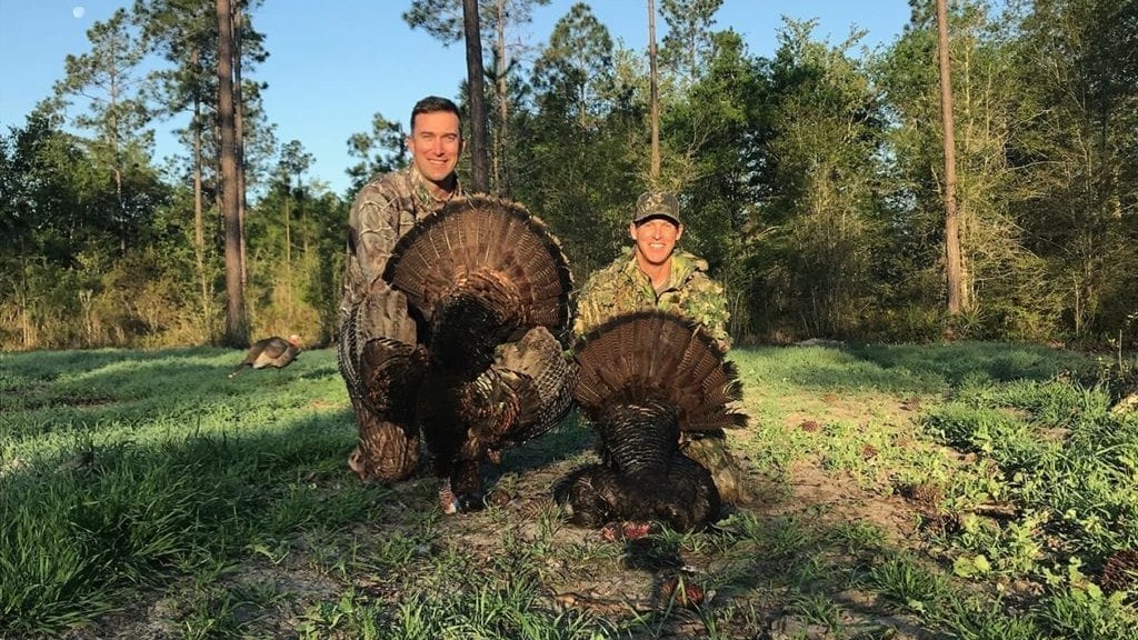 State of the Wild Turkey 5