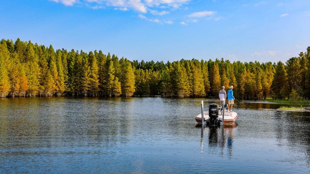 Today’s Market Trends for Conservation Easements 3