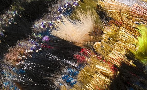 Secrets for the Jackson Hole One Fly