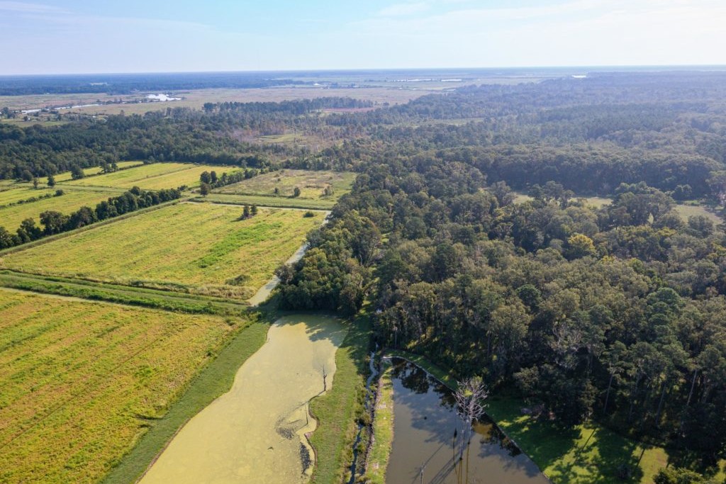 Aerial View of Forest 3