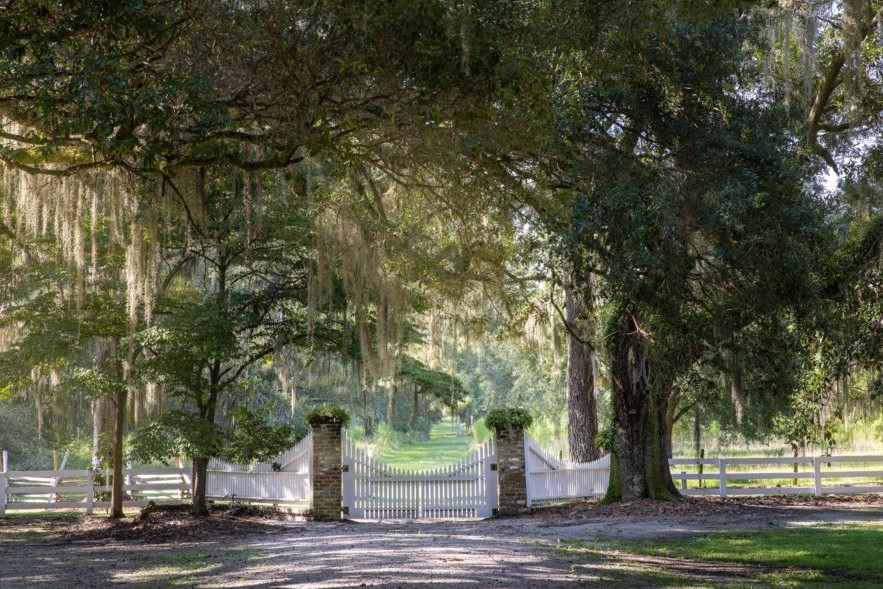 The Twickenham Plantation 3