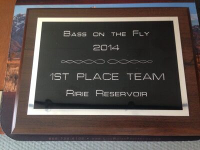 Bass on the Fly