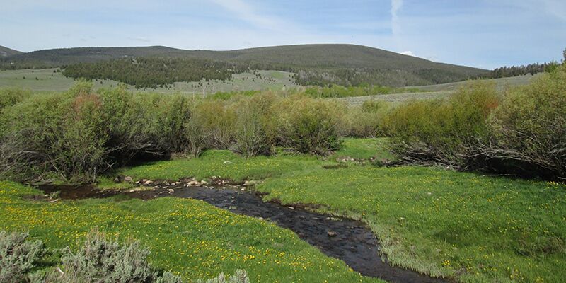 Coyote Creek Ranch