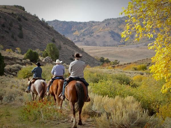 Elk Meadow Ranch