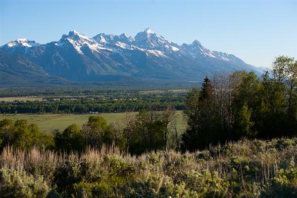 Grand Vista – Jackson, WY 2