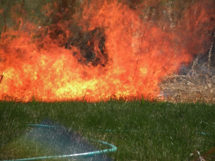 Iowa Farm Restoration Burn 2