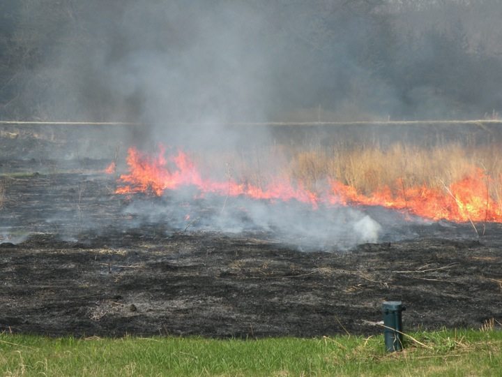 Iowa Farm Restoration Burn 3