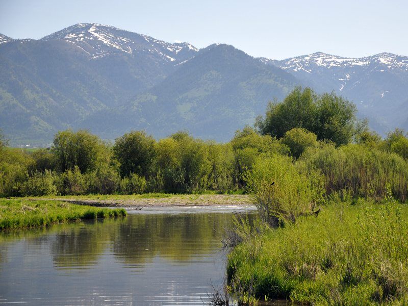 Listing in Wyoming 1