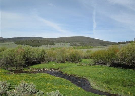 Montana Cattle Ranch for Sale