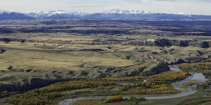 Montana