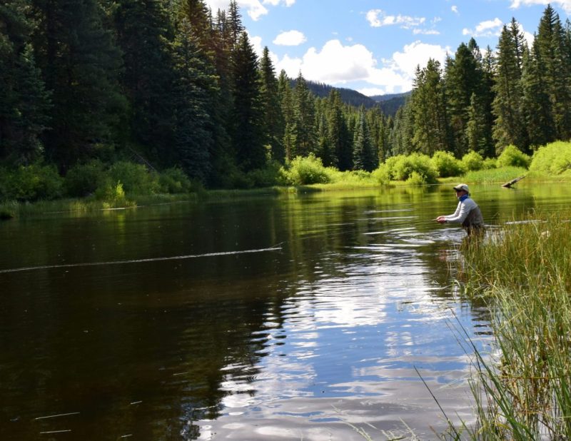 Saskatchewan Duck Hunting Trip