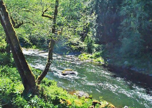 Recently Sold Ranches