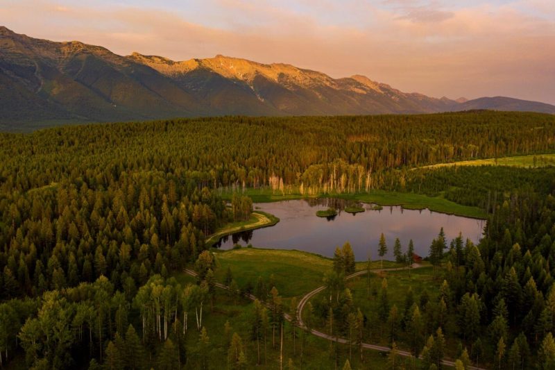 A Look Back on the 2021 Ranch Market