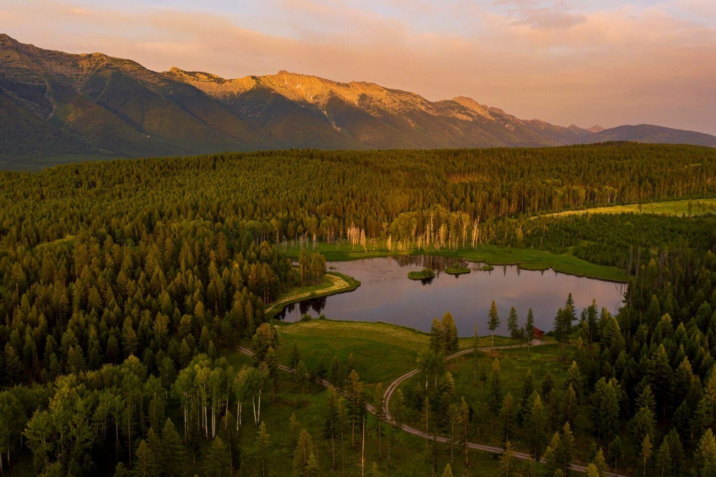 A Look Back on the 2021 Ranch Market