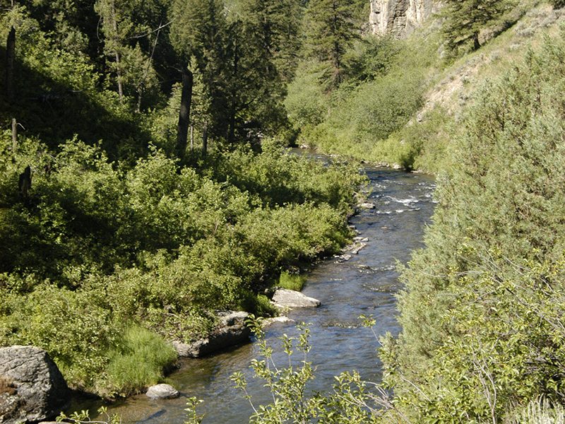 New Teton Valley Listing Live Water Properties Idaho Ranches for Sale