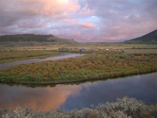 The Carney Ranch 2