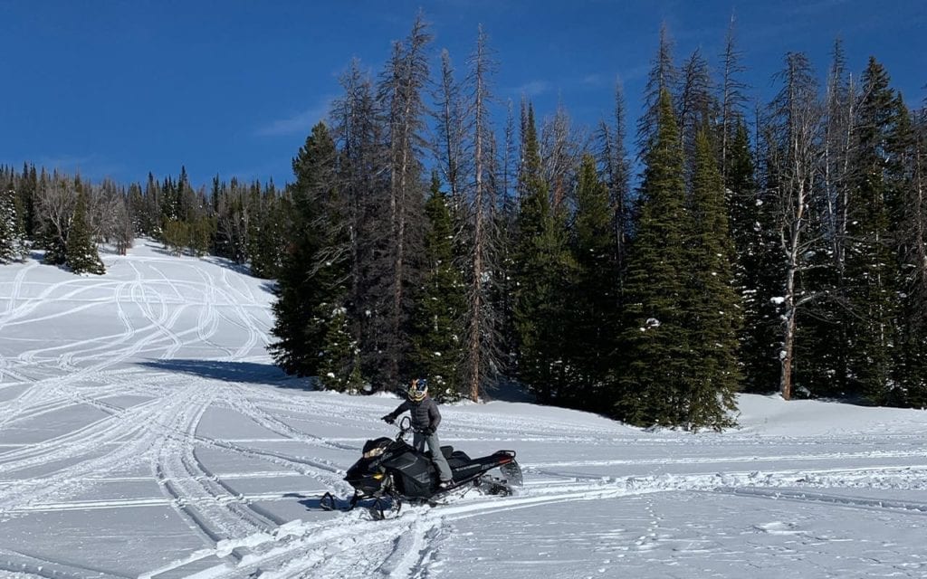 Backcountry Snowmobiling 1