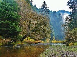 Drift Creek Ranch