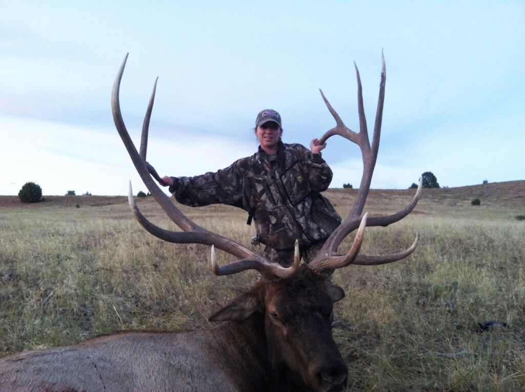 Elk Hunting 1