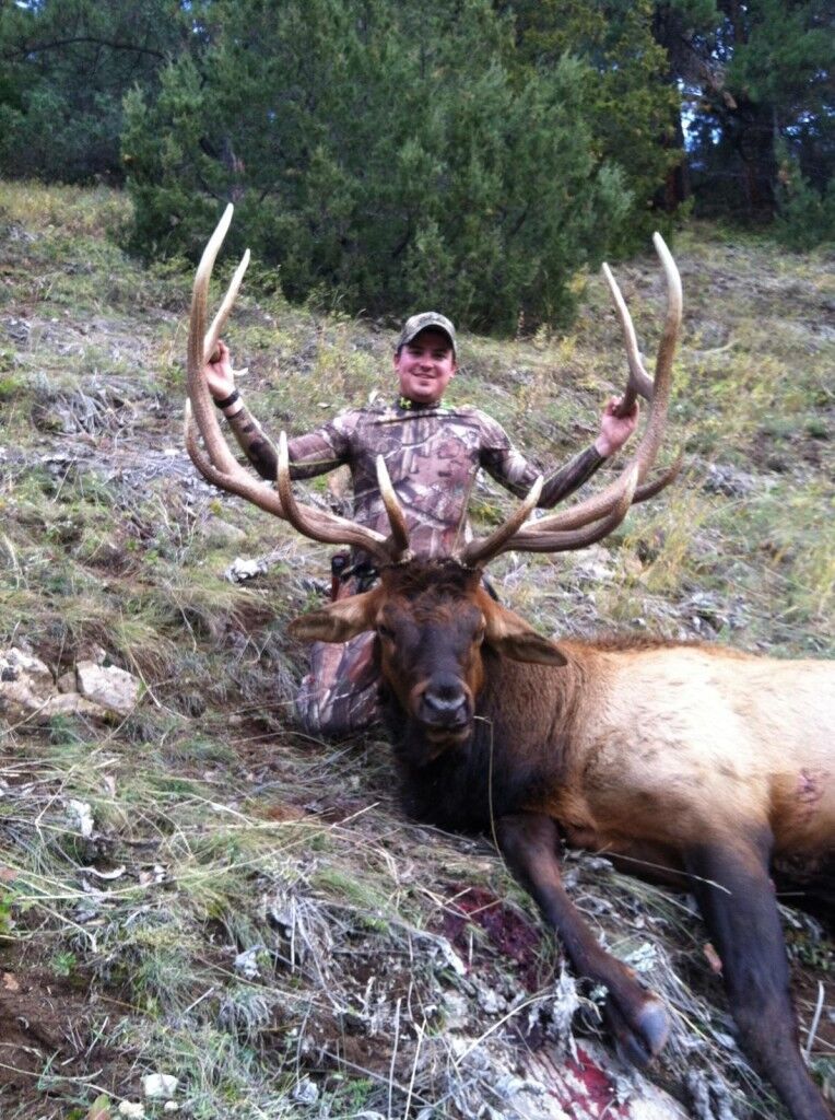 Elk Hunting 2