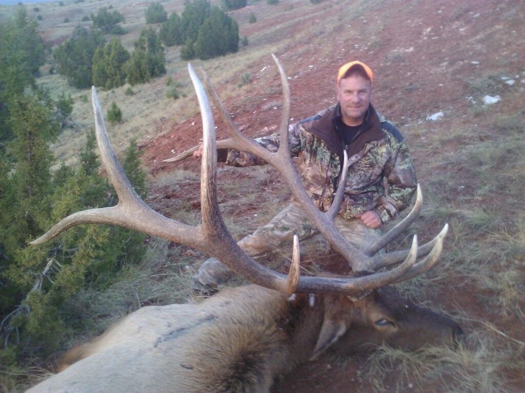 Elk Hunting 4