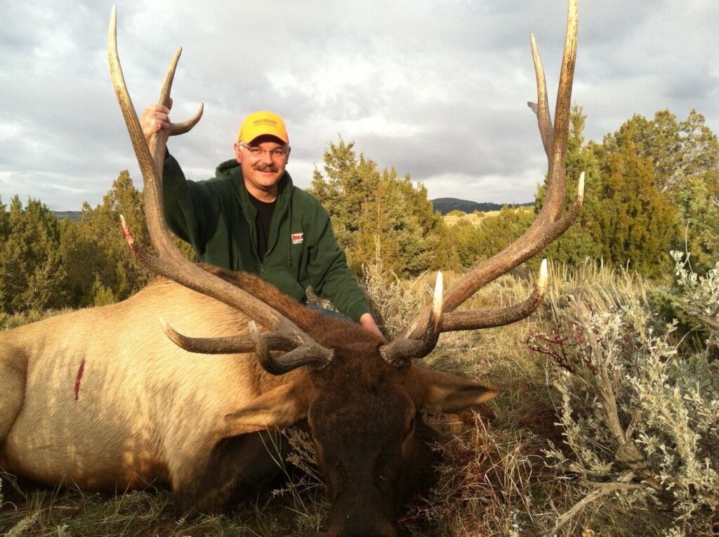 Elk Hunting 5
