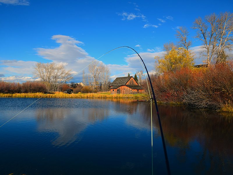 Fishing Ranch Stocked Pond