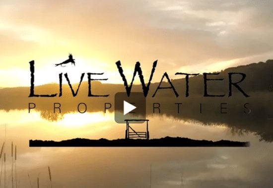 Fly Fishing Highlights of the Year