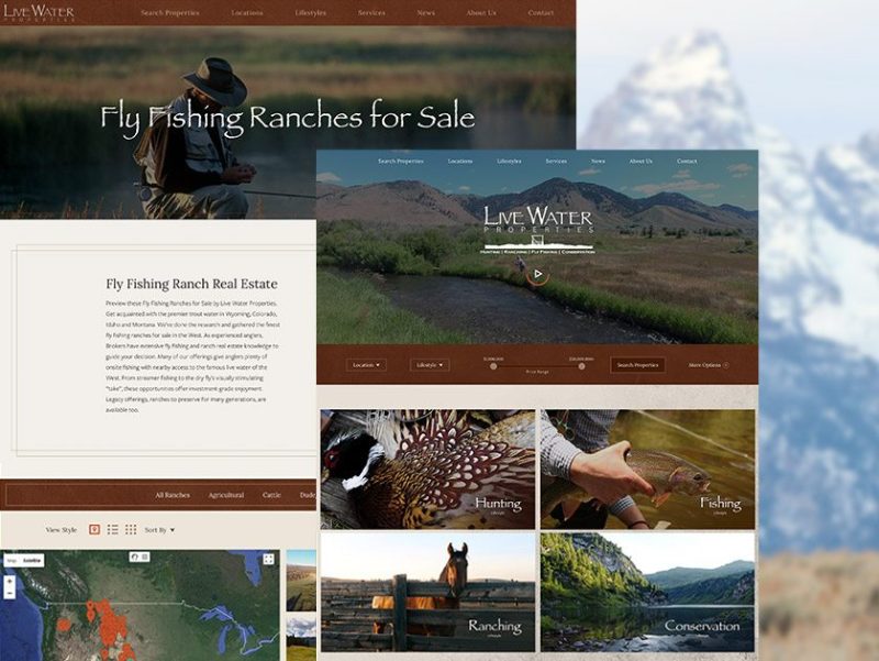 Live Water Properties Marketing