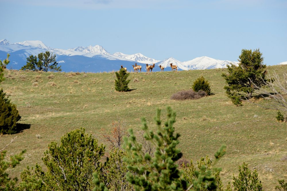 Maximizing Recreational Assets of Real Estate – Part Three