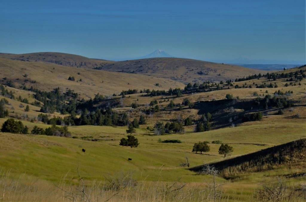 Ranches for sale Oregon