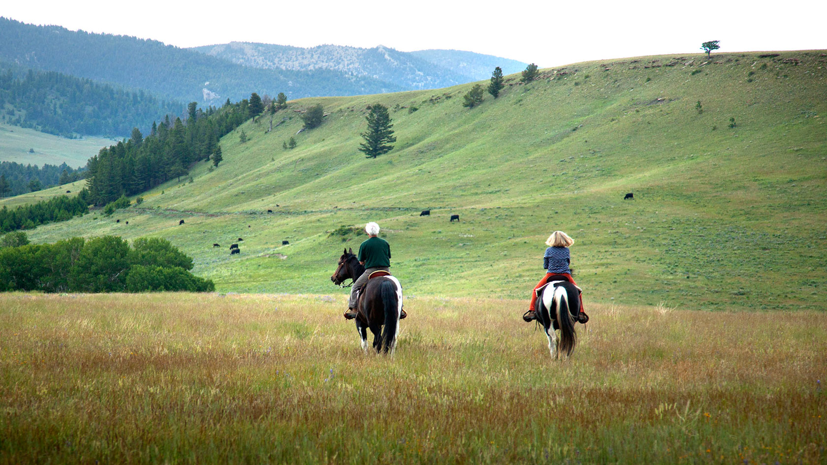 Recreational Ranch Land Buyer