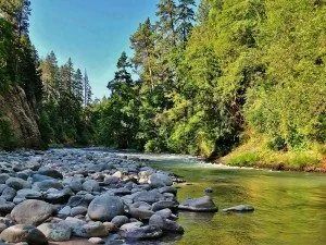 RiverSong Farm and Forest Sanctuary