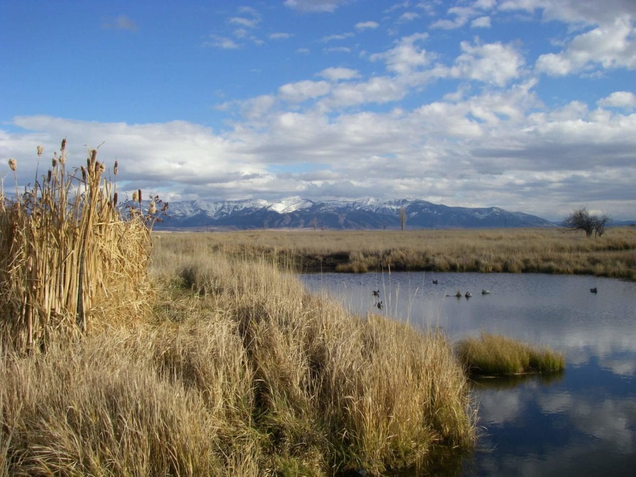 The “Bones” of a Waterfowl or Bird Hunting Ranch