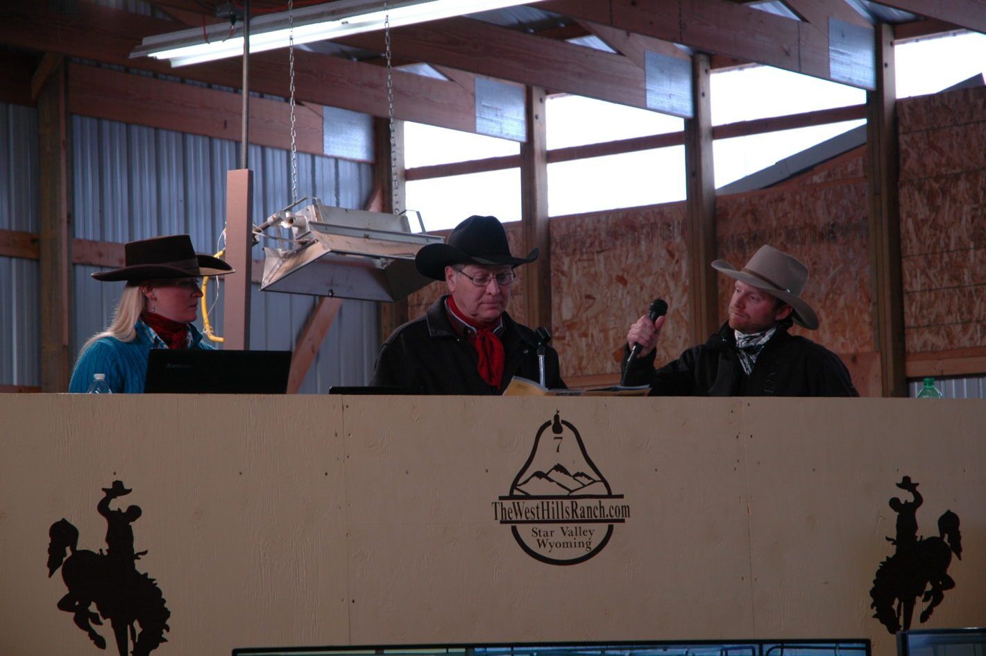 WHR Prime Cut Production Sale – Balanced Salers that Pay their Way