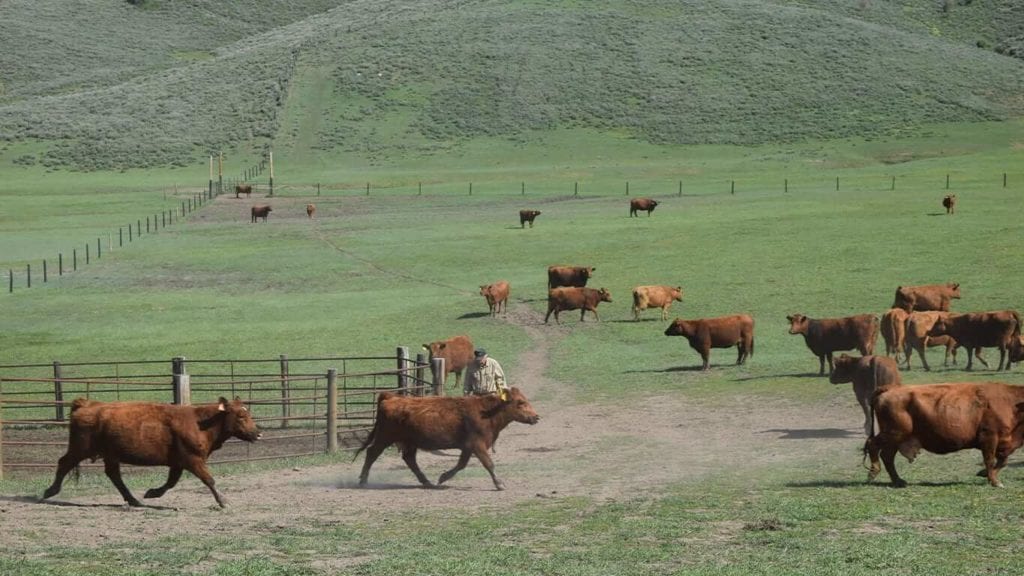 Wyoming ranches for sale 6