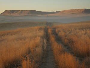 Yellowstone River 1